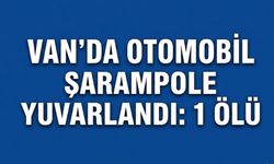 Van'da otomobil şarampole yuvarlandı: 1 ölü