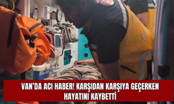 Van’da Otomobilin Çarptığı Genç Hayatını Kaybetti