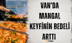 Mangal Keyfinin Bedeli Arttı: Van’da Tavuğun Kilosu 270 Liradan Satılıyor
