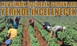 Mevsimlik İşçilerin Sorunları  Yerinde İncelenecek