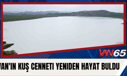 Van'ın Kuş Cenneti Misafirlerini Bekliyor