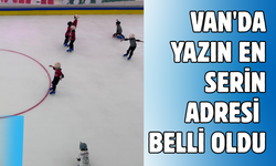 Van'da Yaz Sıcağına "Buz Gibi" Çözüm! 7'den 70'e Herkes Burada Serinliyor