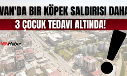 Van Çaldıran'da Köpek Saldırısı: 3 Çocuk Tedavi Altında!