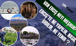Van Erciş Neyi Meşhur? Erciş’te Ne Yapılır, Nasıl Gidilir, Ne Yenir ?