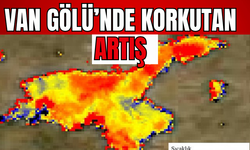 Van Gölü’nde Korkutan Sıcaklık Artışı! Uzmanından Uyarı!