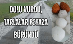 Van’da Ceviz Büyüklüğünde Dolu Yağdı: Tarım Arazileri Zarar Gördü