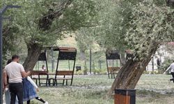 Van'da Bu Kez Kar Değil, Polen Yağdı