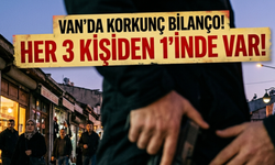 Van'da Korkunç Bilanço! Her 3 kişiden 1'inde silah var!