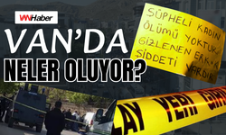 Van’da Neler Oluyor? 2026'da Peş Peşe Gelen Acı Haberlerin Ardındaki Gerçek Ne?