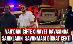 "Ben öldürme kastıyla gitmedim” dedi! Van'daki çifte cinayet davasında dikkat çeken savunma