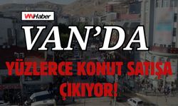 Van’ın O İlçelerinde Yüzlerce Konut Satışa Çıkıyor! İşte Detaylar…