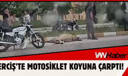 Erciş’te Motosiklet Koyuna Çarptı!