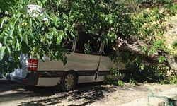 Park Halindeki Araç Bir Anda Enkaz Altında Kaldı!