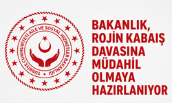 Aile ve Sosyal Hizmetler Bakanlığı, Rojin Kabaiş davasına müdahil olmaya hazırlanıyor