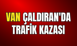 Çaldıran'da Hafif Ticari Araç Elektrik Direğine Çarptı