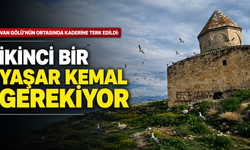 Van’a İkinci Bir Yaşar Kemal Gerekiyor! Çarpanak Adası Tarihiyle Sessizce Yok Oluyor