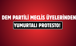 DEM Partili Meclis Üyelerinden Yumurtalı Protesto!