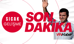 Selahattin Demirtaş, Rojin Kabaiş'in Ailesiyle Görüşecek