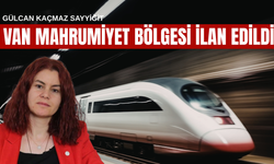 Kaçmaz Sayyiğit: Van Ulaşımda Adeta Mahrumiyet Bölgesi İlan Edildi!