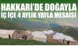 Hakkari'de Doğayla İç İçe 4 Aylık Yayla Mesaisi