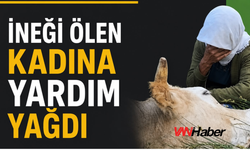 Hakkâri’de İneği Ölen Kadına Yardım Yağdı