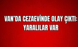 Van'da Hükümlünün Saldırısına Uğrayan 3 İnfaz Koruma Memuru Yaralandı