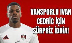 Vanspor’un Gol Makinesi İvan Cedric Bursaspor’un Radarında!