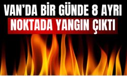 Van'da Bir Günde 8 Ayrı Yangın