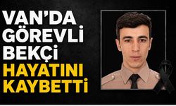 Van'da Acı Kayıp! Çarşı ve Mahalle Bekçisi Hayatını Kaybetti