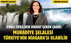 CHP'li Evrim Rızvanoğlu'ndan Muradiye Şelalesi İçin Çağrı: Türkiye'nin Niagara'sı Olabilir