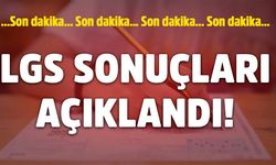 2026 LGS Sonuçları Açıklandı! İşte Puan Sorgulama Ekranı ve Tercih Tarihleri