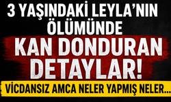 Leyla Aydemir dosyasında şoke eden detaylar...