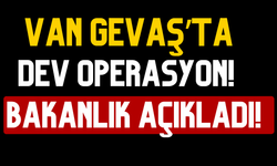 Van Gevaş'ta tıra narkotik baskını! 333 kilo skunk ele geçirildi