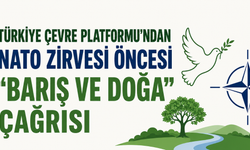 Türkiye Çevre Platformu'ndan NATO Zirvesi Öncesi "Barış ve Doğa" Çağrısı
