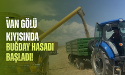 Van Gölü Kıyısında Buğday Hasadı Başladı!