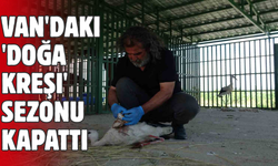Yabanın Öksüz Yavruları Yeniden Özgürlüğe Uçtu!