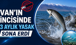 İnci Kefalinde 3 Aylık Av Yasağı Sona Erdi!