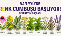 Van YYÜ'de Renk Cümbüşü Başlıyor! Gezi ve Fotoğraf Günleri İçin Geri Sayım Başladı!