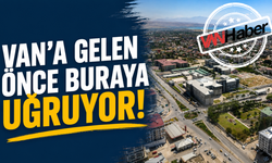 Van'a Gelenlerin İlk Durağı Kedi Villası! Ziyaretçi Sayısı Arttı