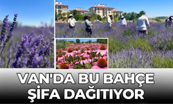 Van YYÜ’nün şifa bahçesi 300 bitki türüyle ilgi görüyor