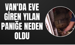 Van'da Eve Giren Yılan Paniğe Neden Oldu!