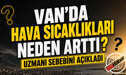 Van'da Bunaltan Sıcakların Nedeni Ortaya Çıktı! Uzmanı Uyardı
