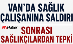 Van'da Sağlıkta Şiddete Karşı Ortak Ses: SES ve Tabip Odası'ndan Açıklama