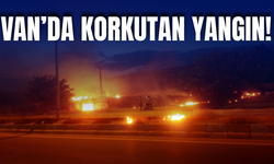 Van'da Korkutan Yangın: Alevler Yerleşim Yerlerine Sıçradı!