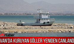 Van'da Yağışların Etkisi Görüldü: Van Gölü ve Sulak Alanlarda Su Seviyesi Arttı