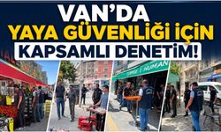 Van'da Yaya Güvenliği İçin Kapsamlı Denetim!