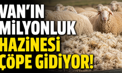 DOĞUSİFED’den Önemli Açıklama: Yünlerimize Sahip Çıkamıyoruz!