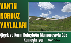 Van’ın Yaylaları Çiçek ve Karın Buluştuğu Manzarasıyla Göz Kamaştırıyor