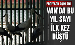 YYÜ’de Yaban Yavrularının ‘Kreş’ Dönemi Tamamlandı