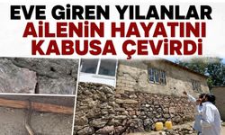 Eve Giren Yılanlar Ailenin Hayatını Kabusa Çevirdi